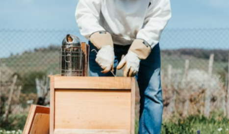 How you can support your local beekeepers